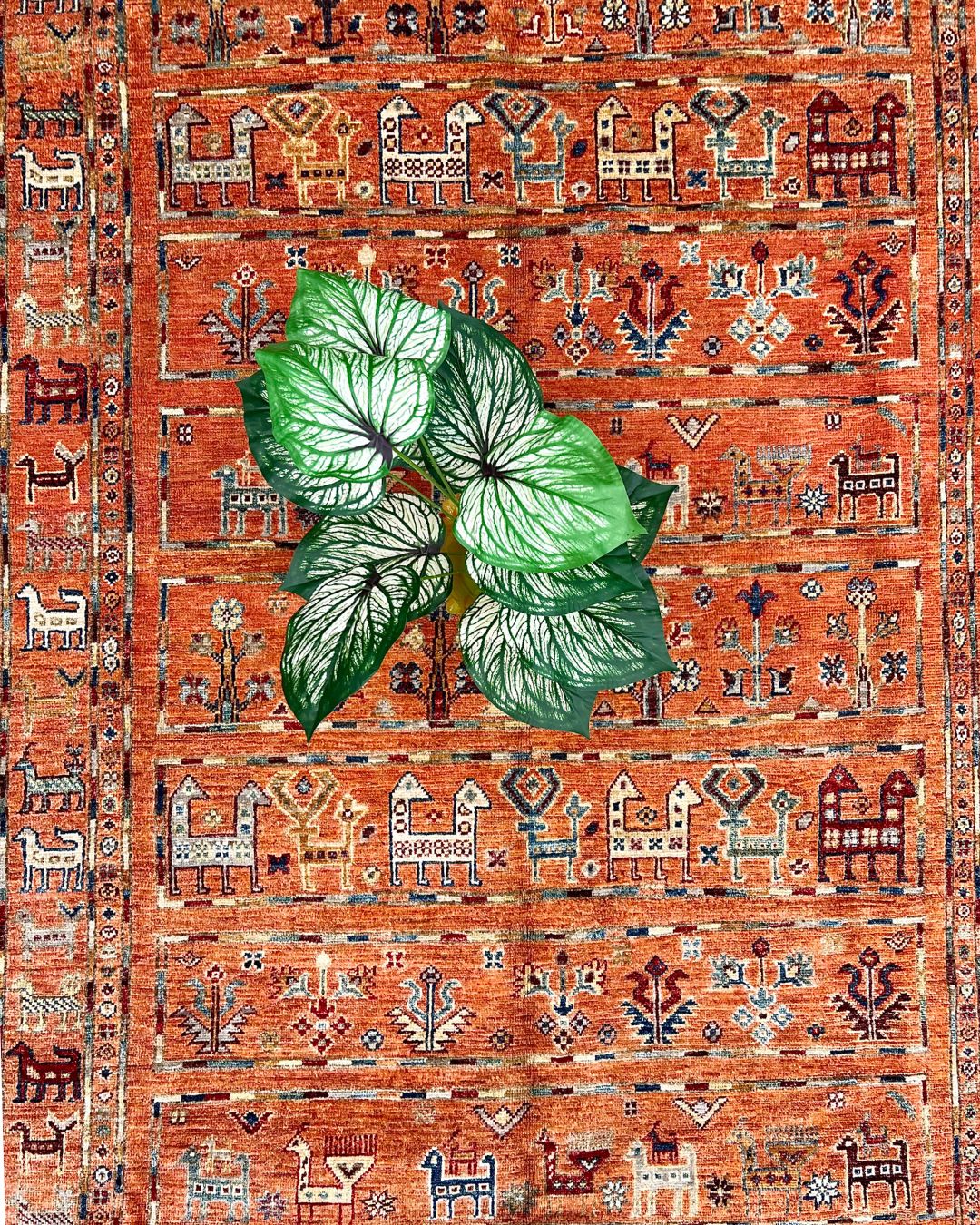 Khurjeen - 7 x 10 ft