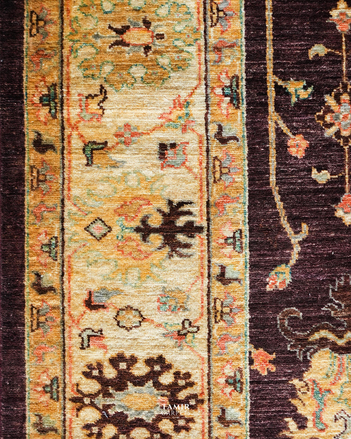 Detail of the gold and cream floral border on the Oushak rug